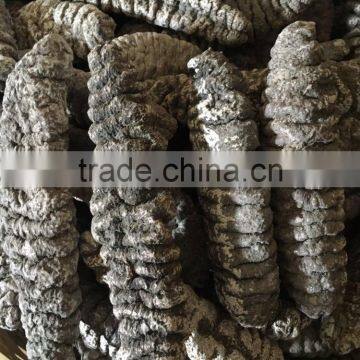 Fully Dried Mexicana photo-2