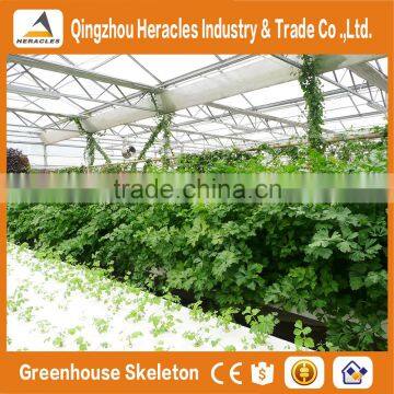 Heracles Trade Assurance Low Cost Greenhouse for Agriculture photo-6
