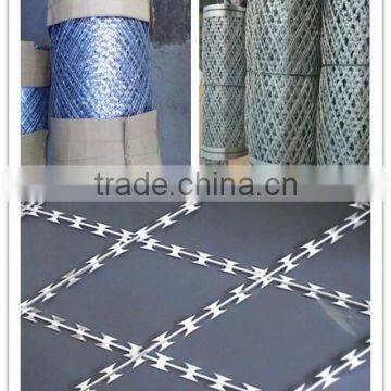 Diamond Razor Wire Mesh Fencing photo-2