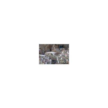 WFTC-07,wall tile
