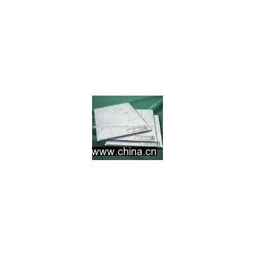 Plastic Sheet