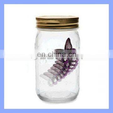 Tap the Lid to Make It Flutter for Butterfly in Jar