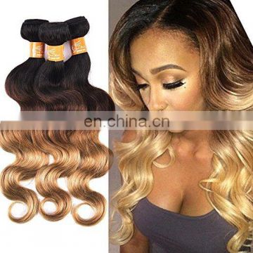 Mink brazilian hair 1b 27 ombre color hair