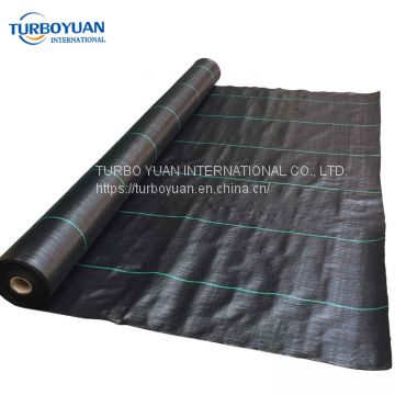 Water Permeable fabrics pp weed resistant net / Anti-weed sheet