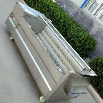 Brush Rollers Type Industrial Fruit Washing Machine