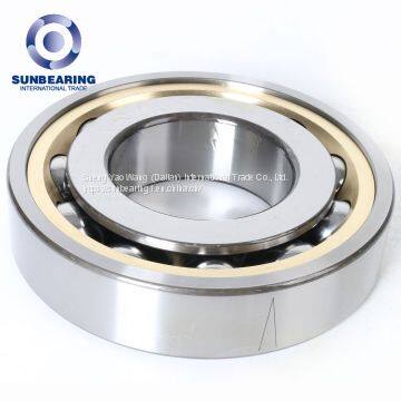 SUNBEARING 6000 Series Deep Groove Ball Bearing Stainless Steel