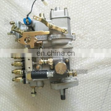 Electric Fuel Injection pumpBHF4PL085213