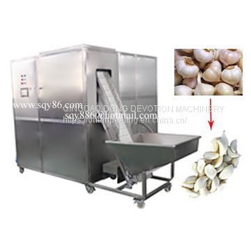 Full Automatic Garlic Bulb Separating and Peeling Machine