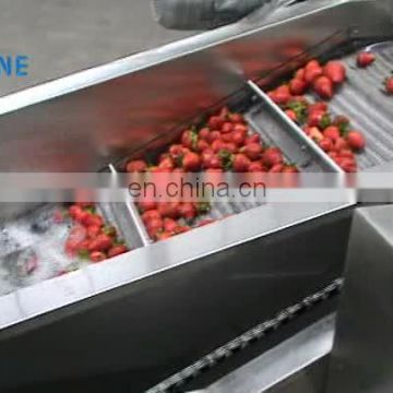 China Leading Supplier 400kg/h Coconut Horseradish Kiwi Fruit Washing Cleaning Machine