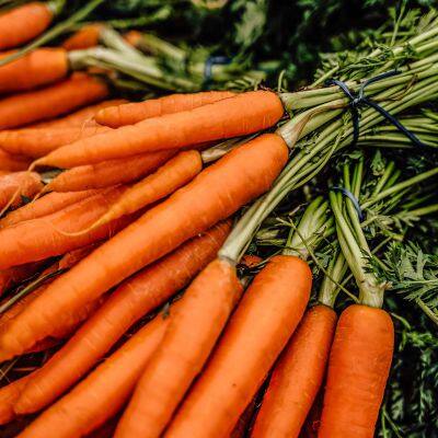 Fresh Carrots