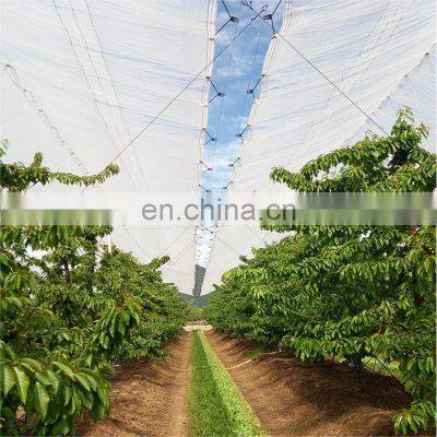 Transparent Poly Coated Tarpaulin Sheet for Agriculture and Cherry Tree Cover