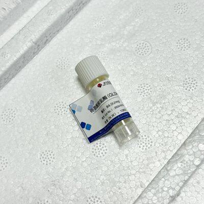 Tris and Glutamate Dehydrogenase Work Together on Homocysteine Assay Kit photo-4