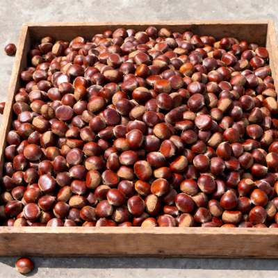 Fresh Shan Dong Chestnut photo-2
