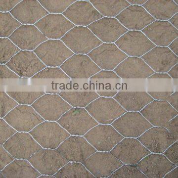 electro galvanized hexagonal wire mesh 10mm