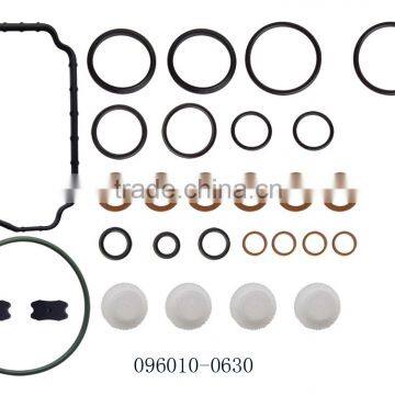 PS7100 Pump Diesel Fuel Injector Repair Kit 096010-0630