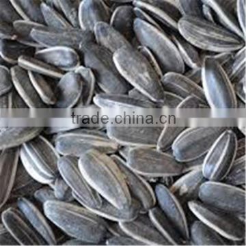 5009 sunflower seeds / sunflower seeds in shell