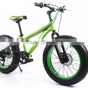 New model snow bike, fat bicycle, cycle wide tire ( Special bike 01 )