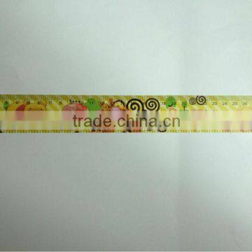 pp ruler, 3d ruler, promotional ruler