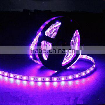 Dmx Led Strip 5050 Led Strip photo-6