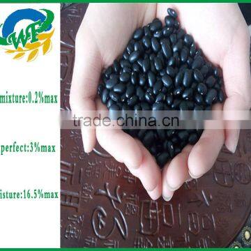 Chinese Black Kidney Beans photo-3