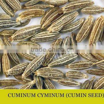 CUMIN SEEDS