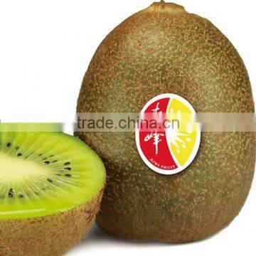 Fresh Green Kiwi photo-2