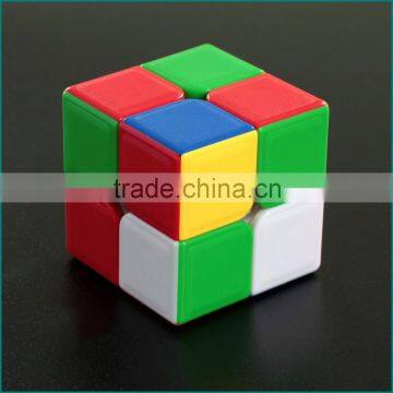 Dian Sheng 2 Order 2*2 Stickerless Colorful Magic Cube in China Magical Cube photo-2