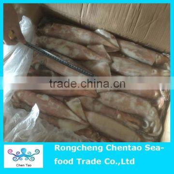 Hot Sale Frozen Squid as Fish Bait photo-5