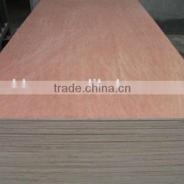 China 25mm cheap price bintangor plywood factory