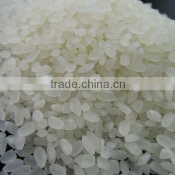 Camolino Rice Oil Polished