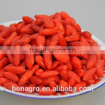 2013 new crop Ningxia nutrition & regimen dried goji berry