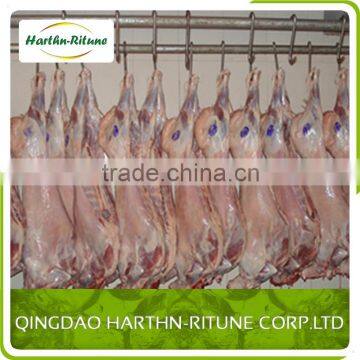 Halal Product Frozen Meat Lamb Carcass photo-5