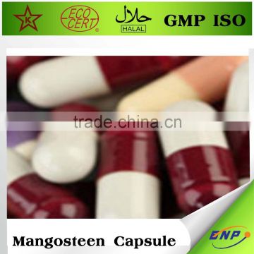 bnp supplier high quality super mangosteen fruit extract