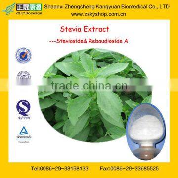 GMP Factory Supply Natural Stevia Rebaudiana Extract