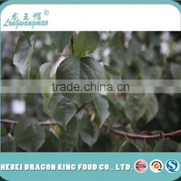 Latest Crop Dry Sweet Apricot Kernel Nuts in Shell for Food Industry photo-5