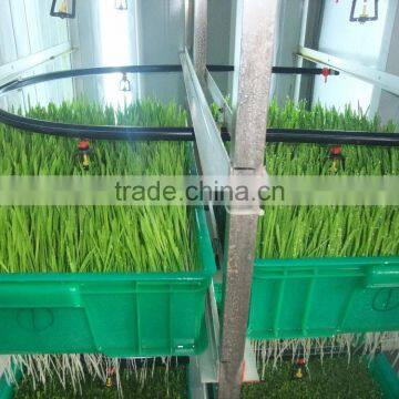 CE Certificate Trade Assurance barley feed for sale