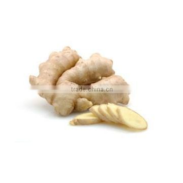 GINGER ESSENTIAL OIL