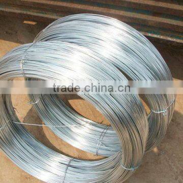 Galvanized iron Wire 50kgs/roll 1.6mm diameter