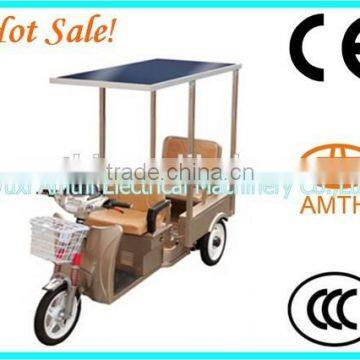 Electric Tricycle Cargo Bike, Electric Tricycle, Electric Rickshaw photo-2