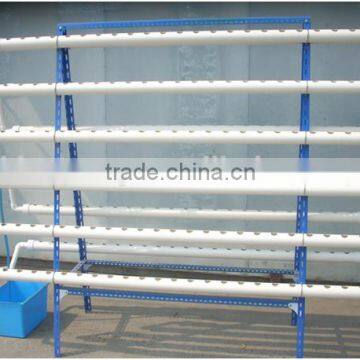 Hobby Greenhouse in Falimy Growing photo-4