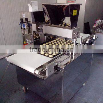 PLC wire cut cookies food production machines