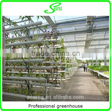 hot sale low cost hydroponic greenhouse