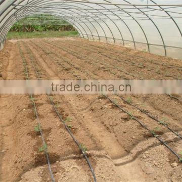 Cheap price film tunnel greenhouse with drip irrigation system