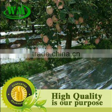 High Quality Agricultural Reflective Silver Mulch Film photo-2