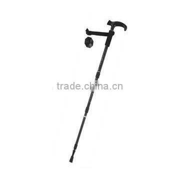 modern walking stick 52274