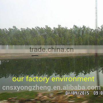 High Protein (53%) Dried Mealworm For Wild Tortoise Treat photo-2