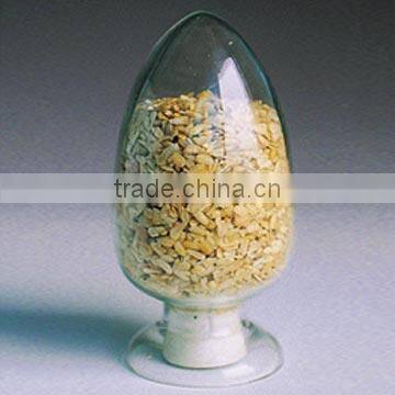 Corn Germ