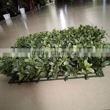 Portable Artificial Grass Plastic Graden Fence Paling photo-2