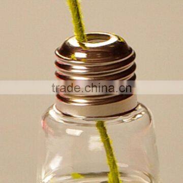Clear Lamp Bulb Shape Glass Vases for Home Decoration photo-4