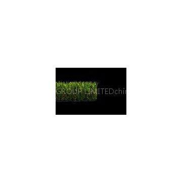 Natural Monofilament & Curly HDPE Outdoor Fake Grass Carpet For Garden , Landscaping